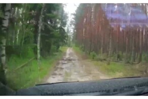 Автомобилист пытается выехать из леса во время урагана
