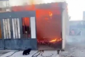 Собака бросилась в загоревшийся сарай, чтобы спасти своих щенков