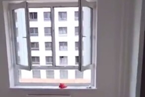 Мужик купил квартиру за 6 миллионов рублей и со слезами на глазах сделал на неё обзор