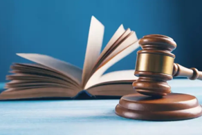 Юристы строительной компании подали в суд кассационную жалобу в виде песни