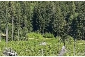 Палатка отправилась в самостоятельное путешествие