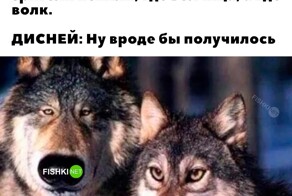 Скрины из соцсетей            