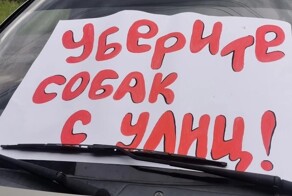 В Челябинской области учительница устроила одиночный пикет из-за бездомной собаки, которая покусала её дочь
