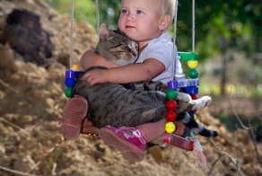 Никому тебя не отдам! (35 фото)