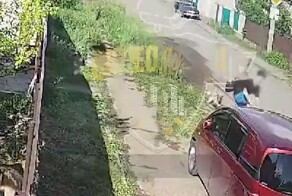 В Башкирии подросток, пытаясь спастись от собаки, повредил машину