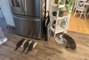 Всё вразнобой&nbsp;