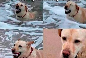 Скрины из соцсетей            