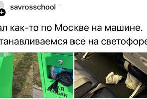 Примеры свинства от людей, которые могли бы запросто захрюкать