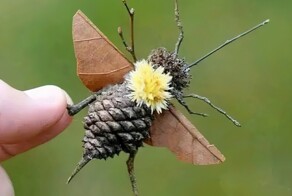 25 фотографий, вызывающих неподдельный восторг