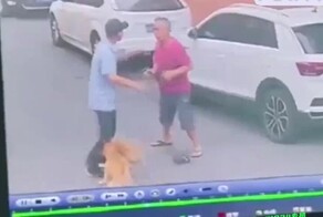 Хозяева псов чуть не подрались из-за склоки питомцев