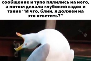Скрины из соцсетей            