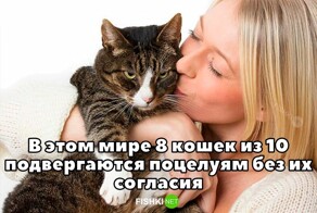Не ищите здесь смысл. Здесь в основном маразм