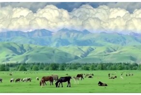 Мир аниматора Хаяо Миядзаки в реальности