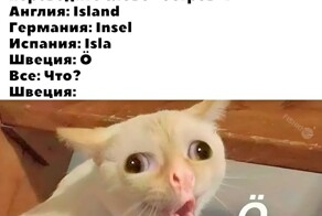 Скрины из соцсетей            