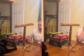 Переиграл и уничтожил: котик не напрягаясь обыграл хозяйку