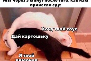 Скрины из соцсетей            