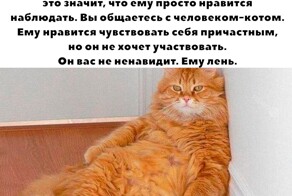 Не ищите здесь смысл. Здесь в основном маразм