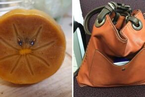 17 экспрессивных гримас, которые скорчили не люди, а предметы