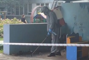 В столичном детском саду рой ос напал на детей