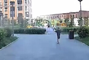 В Новосибирске собака напала на ребёнка, который ехал на самокате