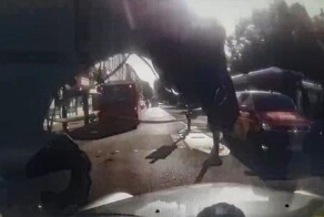 Сбежавшие гвардейские лошади в приступе паники пронеслись по Лондону