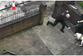 Удивительное спокойствие сотрудников полиции Белфаста