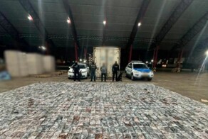 Более трёх тонн кокаина обнаружили эквадорские полицейские в коробках с бананами для России