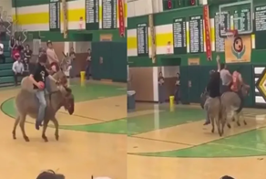 Баскетбол на ослах