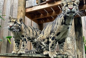 На общую тему&nbsp;