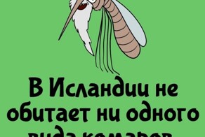 А вдруг ты не знал…