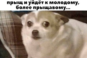 Скрины из соцсетей            