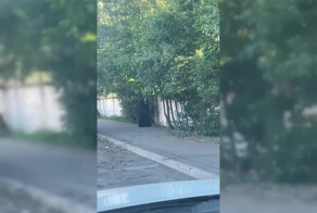 Закладчица в никабе