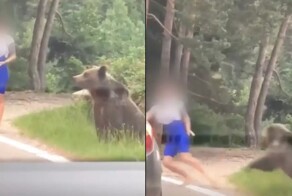 Фотосессия с медведем не задалась