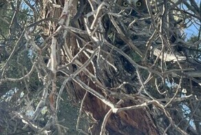 25 примеров идеальной маскировки