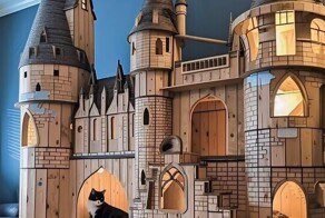 Деревянные чудеса: 25 мастеров, покоривших наши сердца своими творениями