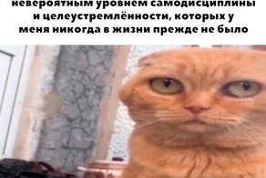 Не ищите здесь смысл. Здесь в основном маразм