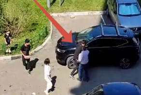 В Мытищах бородач сломал зеркало на авто пенсионерки после замечания о парковке