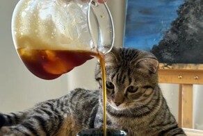 Всё вразнобой&nbsp;