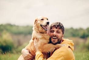 Собаки действительно любят своих хозяев