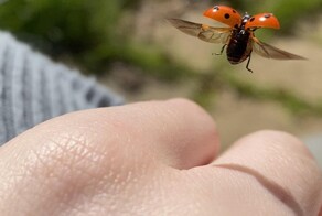 На общую тему&nbsp;