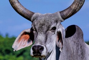 На общую тему&nbsp;