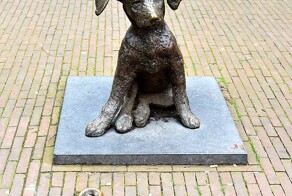 Роттендамский Фикки и его важная задача