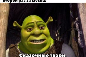 Скрины из соцсетей            