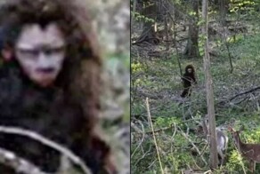 Фотография детёныша снежного человека вызвала споры