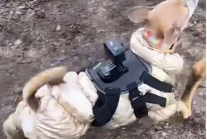 Ожидания не всегда совпадают с реальностью