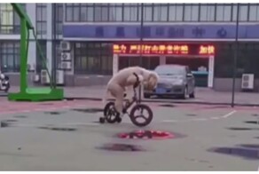 Пёс из Китая катается на велосипеде и скейте