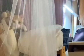 Неудачное нападение на хозяйку