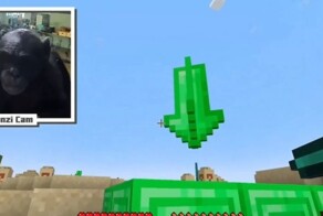 Шимпанзе Канзи, благодаря помощи блогера ChrisDaCow, научилась играть в Minecraft