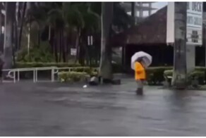 Тем временем на дороге в Майами