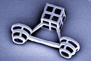 Японские ученые создали колесницу для одноклеточных